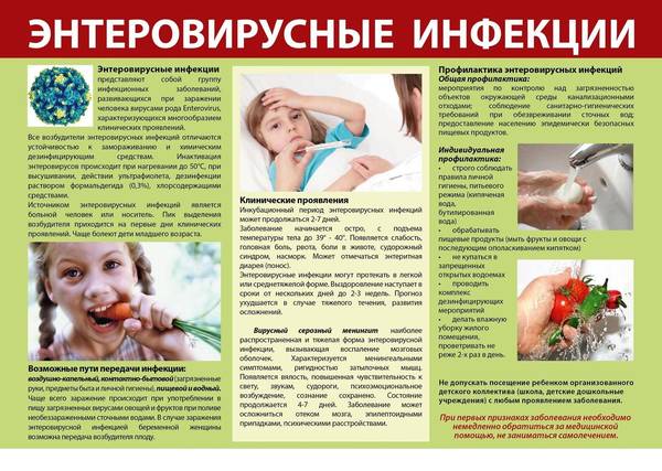 enterovirus2